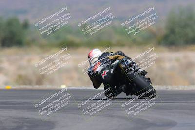 media/Oct-01-2023-SoCal Trackdays (Sun) [[4c570cc352]]/Turn 14 Backside (1120am)/